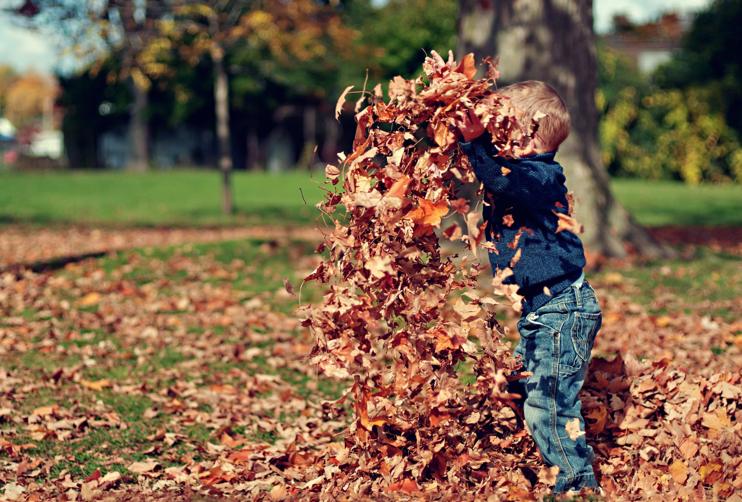 Kinder schützen - Kind spielt im Herbstlaub